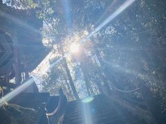 -腾冲云峰山
