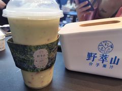 -野萃山·潮汕厚果汁(十亩地店)