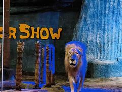 -清迈夜间动物园