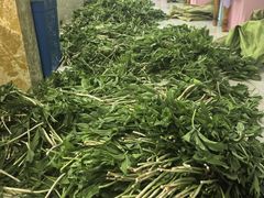 -庆岭迎宾园正宗活鱼馆