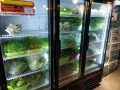 -东椰·海南椰子鸡火锅(朝阳门店)