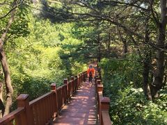 -燕塞湖鸟语林景区