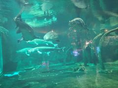 -华夏文旅海洋公园