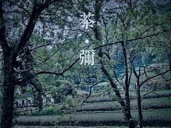 -随意茶庄·地道杭帮农家菜(梅家坞店)