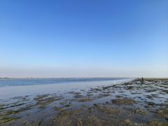 -北海金海湾红树林生态旅游区