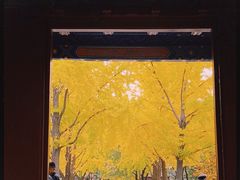 -北京国子监胡同