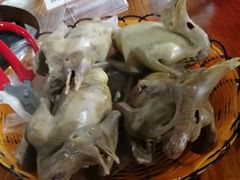 -石岐乳鸽村(桥观坊南四巷店)