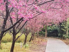 -福清灵石山国家森林公园