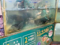 -老傅家湘潭水煮活鱼店(众一国际店)