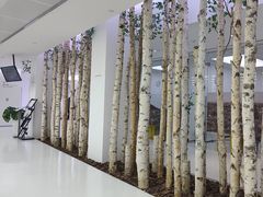 -极简口腔(总院)