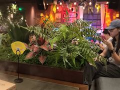 -同仁四季椰子鸡(海岸城天利店)