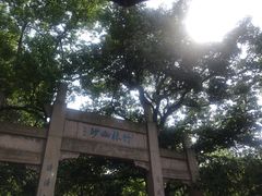 -镇江市南山风景名胜区竹林景区