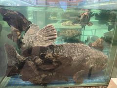 -聚福宝合苑食府(南头镇店)