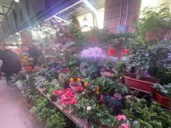 -花鸟鱼虫鲜花绿植市场(玉泉路店)