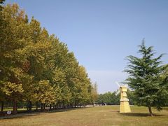 -洛阳市隋唐城遗址植物园