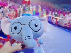 -广州长隆国际大马戏