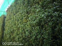 -东方之珠洗浴休闲广场(和平店)