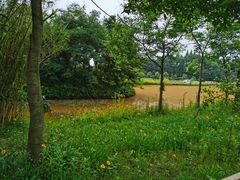 -金谷域澳洲庄园