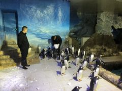 -成都浩海立方海洋公园