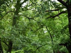-萍乡武功山风景名胜区