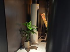 -梵猫·新养生(鹭江大同店)