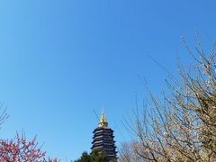 -红梅公园