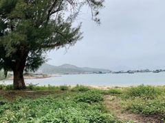 -南丫岛
