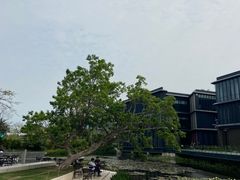-万科前海企业公馆