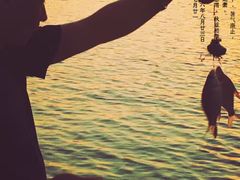 -汉江湾体育公园