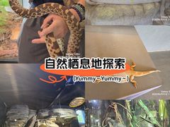 -厦门园林博览苑