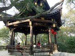 -金鸡山公园