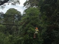-清迈丛林飞跃 JungleFlight