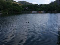 -白马涧龙池景区