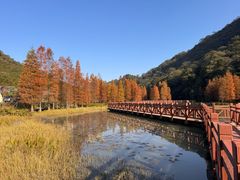 -广州市石门国家森林公园