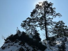 -龙苍沟森林公园