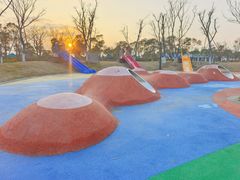 -春花秋色城市公园