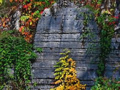 -梭布垭石林景区