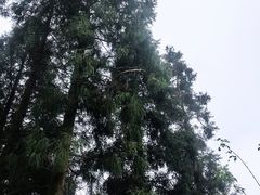 -鼓岭旅游度假区