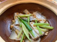 -稻香酒家·33年老字号·港式粤菜(富邦中心店)