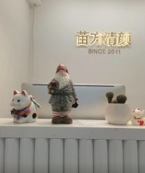 -苗方清颜·祛痘皮肤管理