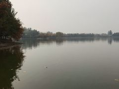 -大兴滨河森林公园