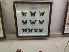 -陕西自然博物馆