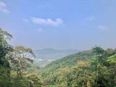 -广州市帽峰山景区