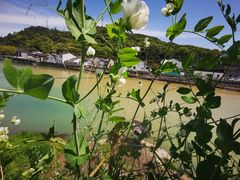 -亭下湖饭店(康岭店)