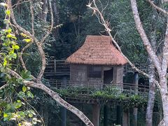 -野象谷景区