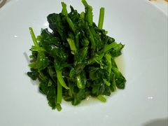 豆苗-鹿园 MOOSE(长宁店)