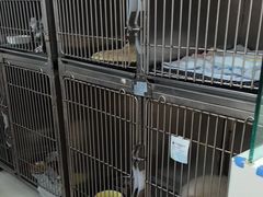 -芭比堂动物医院(广州爱宠下渡路分院)