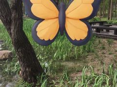 -渤公岛生态公园
