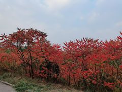 -南翠屏公园