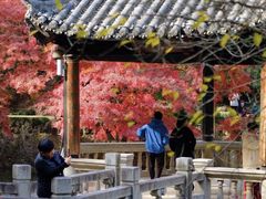 -虞山风景区